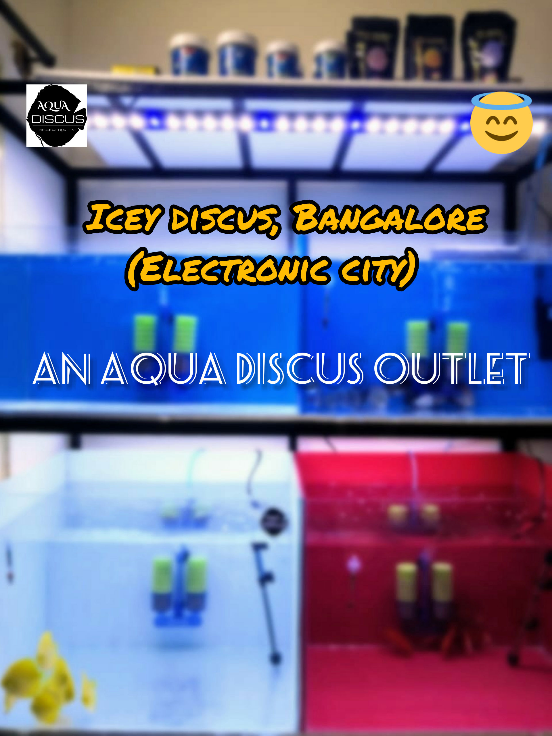 Bangalore Electronic City