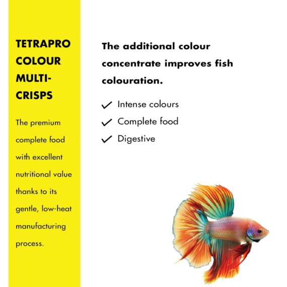 TetraPRO Color Multi Crisps - Premium Color feed with Prebiotics - Image 2