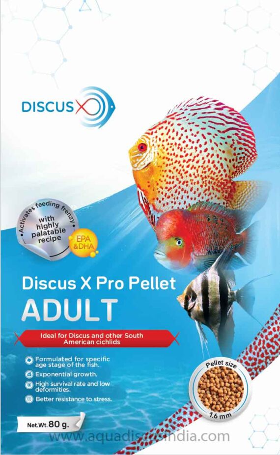 DiscusX Pro ADULT (aka GrowXL/GrowX4) - EPA & DHA Rich Nursing Pellet 1.6mm (For fish size >15 cm)