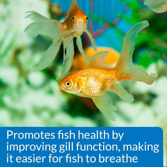 API Aquarium Salt - Electrolyte Replenishment Promoting Fish Health - Image 3