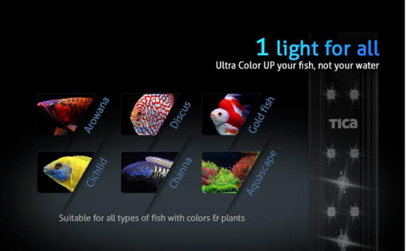 TICA Ultra Color LED Series with Built-In Dimmer - Color Up Your Fish - Image 8