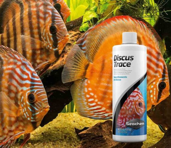 Seachem Discus Trace™ - Trace Elements Supplement For Discus - Image 2